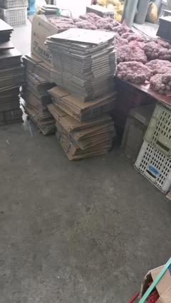 新鲜去皮湿核桃与商品房代购代销 一站式批发与服务解决方案