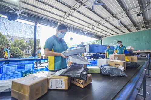 武义农村电商 从“个富”到“共富”，商品房代购代销开辟乡村振兴新路径